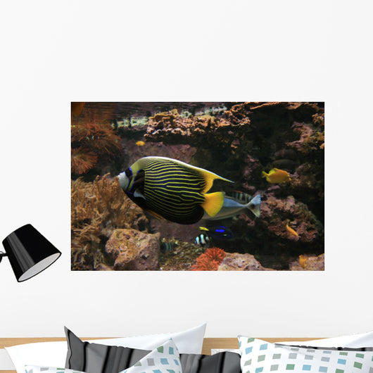 Colorful Fish Wall Decal