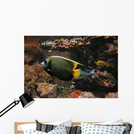 Colorful Fish Wall Decal