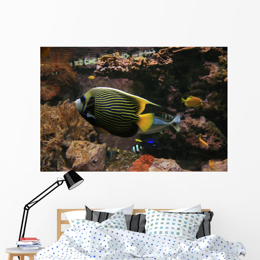Colorful Fish Wall Decal