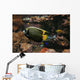 Colorful Fish Wall Decal