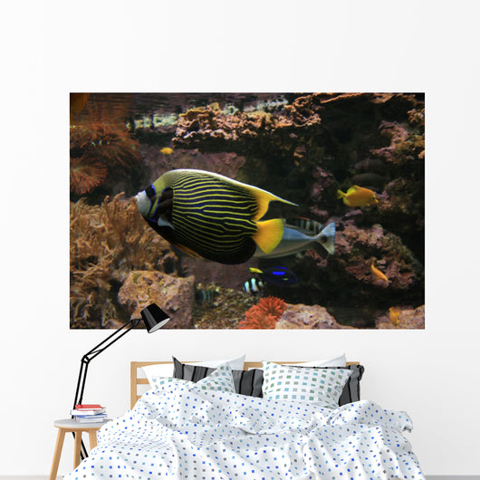 Colorful Fish Wall Decal