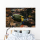 Colorful Fish Wall Decal
