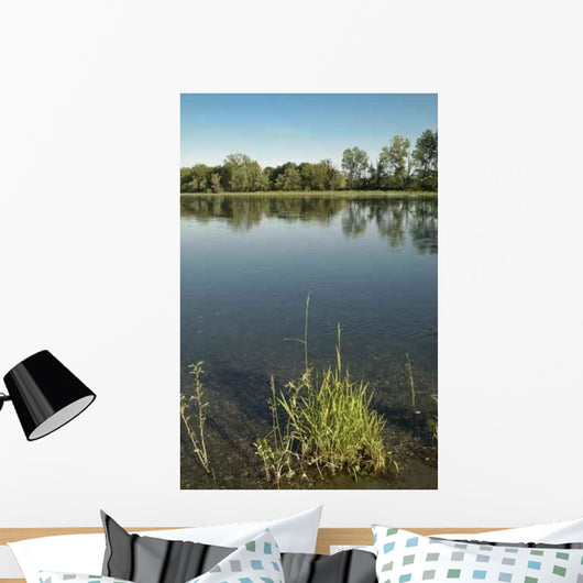 Parco Ticino 4 Wall Decal