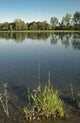 Parco Ticino 4 Wall Decal