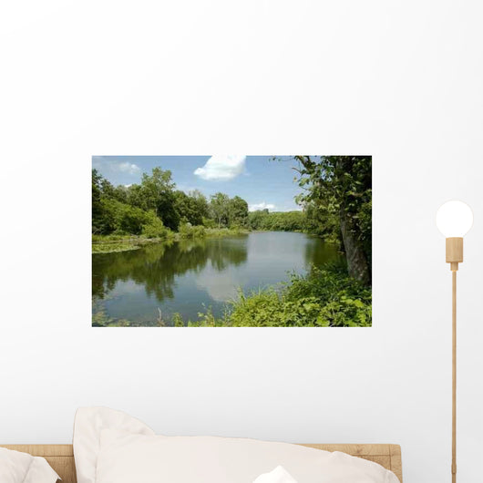 Ticino Park 3 Wall Decal