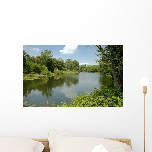 Ticino Park 3 Wall Decal