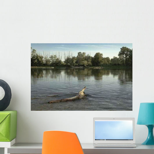 Parco Ticino 1 Wall Decal