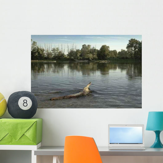 Parco Ticino 1 Wall Decal