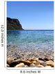 Rivage Wall Decal