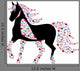 Floral Horse Wall Decal