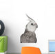 Male Cockatiel - Right Side (Nymphicus Hollandicus) Wall Decal
