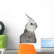 Male Cockatiel - Right Side (Nymphicus Hollandicus) Wall Decal
