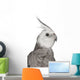 Male Cockatiel - Right Side (Nymphicus Hollandicus) Wall Decal