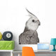 Male Cockatiel - Right Side (Nymphicus Hollandicus) Wall Decal