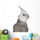 Male Cockatiel - Right Side (Nymphicus Hollandicus) Wall Decal
