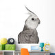 Male Cockatiel - Right Side (Nymphicus Hollandicus) Wall Decal