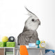 Male Cockatiel - Right Side (Nymphicus Hollandicus) Wall Decal