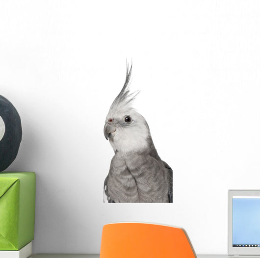 Male Cockatiel - Left Side (Nymphicus Hollandicus) Wall Decal