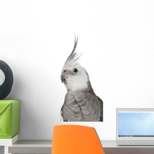 Male Cockatiel - Left Side (Nymphicus Hollandicus) Wall Decal