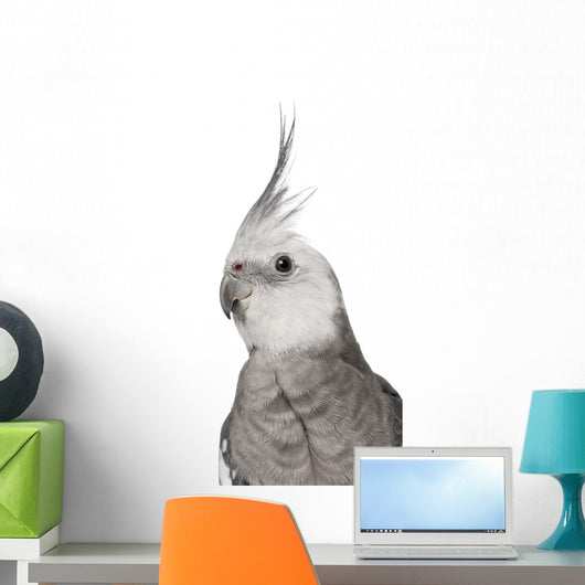 Male Cockatiel - Left Side (Nymphicus Hollandicus) Wall Decal