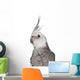Male Cockatiel - Left Side (Nymphicus Hollandicus) Wall Decal