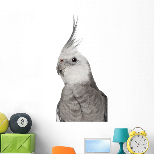 Male Cockatiel - Left Side (Nymphicus Hollandicus) Wall Decal