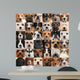 Collage 36 Dog Heads Wall Decal