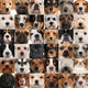 Collage 36 Dog Heads Wall Decal