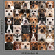 Collage 36 Dog Heads Wall Decal