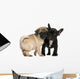 Pug Puppy and French Wall Decal