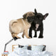 Pug Puppy and French Wall Decal