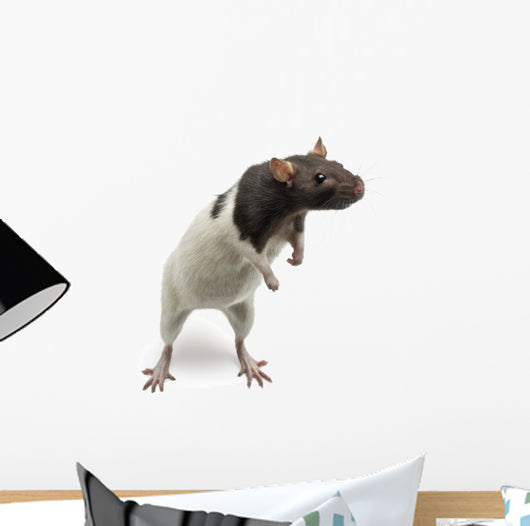 Fancy Rat Standing Wall Decal