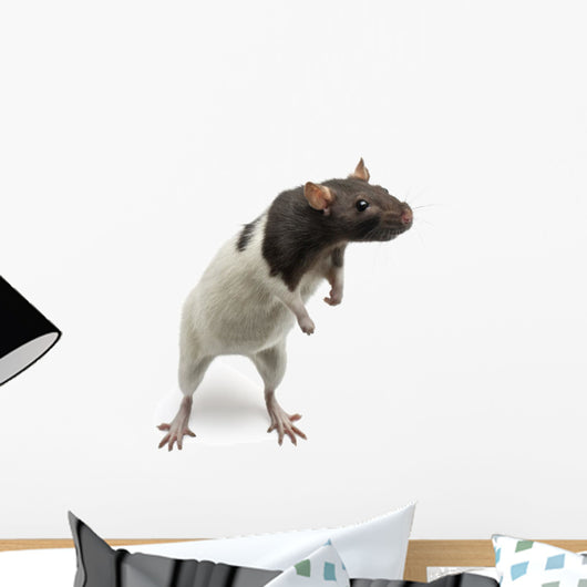 Fancy Rat Standing Wall Decal