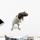 Fancy Rat Standing Wall Decal