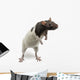 Fancy Rat Standing Wall Decal