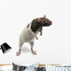 Fancy Rat Standing Wall Decal