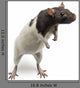 Fancy Rat Standing Wall Decal