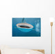While Shark Blue Wall Decal