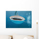 While Shark Blue Wall Decal