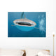 While Shark Blue Wall Decal