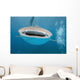 While Shark Blue Wall Decal