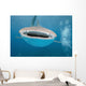 While Shark Blue Wall Decal
