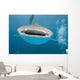 While Shark Blue Wall Decal