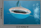 While Shark Blue Wall Decal