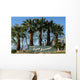Palm Springs California Wall Decal