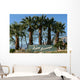 Palm Springs California Wall Decal