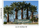 Palm Springs California Wall Decal