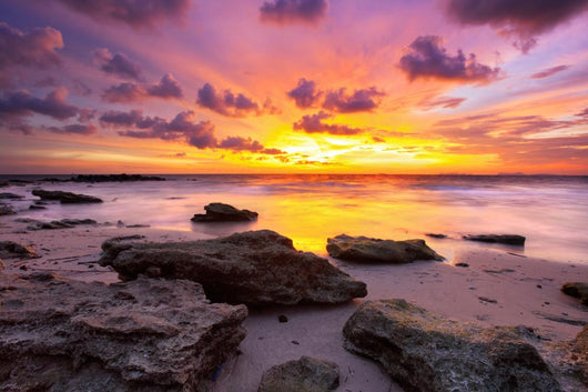 Tropical Beach Sunset Wall Decal