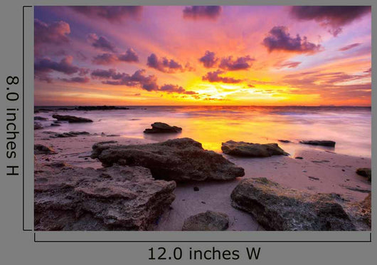 Tropical Beach Sunset Wall Decal