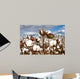 Cotton Bolls Field Wall Decal